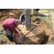 GEFA TREELOCK - podziemne mocowanie drzew
